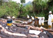 PT Vale Komitmen Tangani Dampak dan Pulihkan Lingkungan Pasca Insiden Kebocoran Pipa Minyak di Towuti