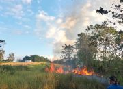Musim Kemarau, Damkar Kendari Imbau Warga Waspada Kebakaran Lahan