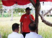 Dukung Ketahanan Pangan, Pemkot Kendari Panen Padi di Tobuuha Mandonga