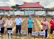 Pemkot Kendari Tanam Jagung Pulut di Lahan Tidur Perkotaan