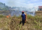 Cuaca Panas Picu Kebakaran Lahan di Baruga Kendari