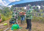 Dinas Pertanian Kendari Genjot Budidaya Madu Trigona dan Jeruk Manis sebagai Komoditas Unggulan