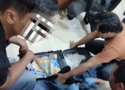 BNNP Sultra Gagalkan Jaringan Narkoba Lintas Provinsi di Bandara Kendari