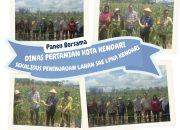 Dukung Asta Cita Ketahanan Pangan, LPKA Kendari Panen Jagung Bersama Dinas Pertanian