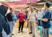 Sinergi UHO, USN Kolaka, dan Distan Kendari Kuatkan Fondasi Ekonomi Peternak