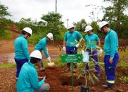 PT Vale Indonesia Laksanakan Penanaman Pohon Serentak sebagai Komitmen Global Terhadap Iklim dan Keberlanjutan