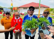 Panen Kangkung Organik, Distan Kendari Gencarkan Edukasi Pemanfaatan Pekarangan