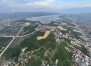 HMI Protes Soal Pembabatan Mangrove di Kendari