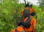 Tim SAR Gabungan Cari Lansia Hilang di Hutan Busowa Buton Selatan