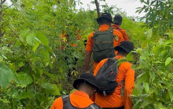 Tim SAR Gabungan Cari Lansia Hilang di Hutan Busowa Buton Selatan