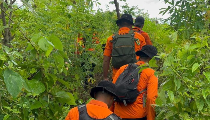 Tim SAR Gabungan Cari Lansia Hilang di Hutan Busowa Buton Selatan