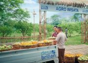 Sukses Desa Brilian, Bukti Komitmen BRI Dorong Kemajuan UMKM