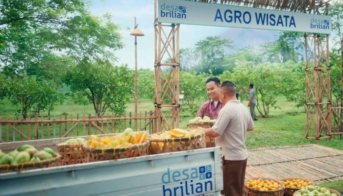 Sukses Desa Brilian, Bukti Komitmen BRI Dorong Kemajuan UMKM